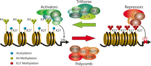 Figure 3.