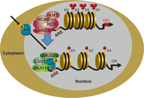 Figure 4.