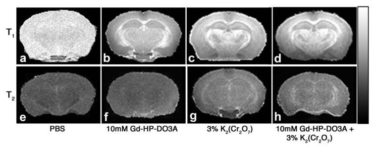 FIG. 1