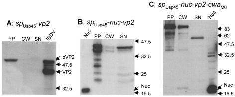 FIG. 3.