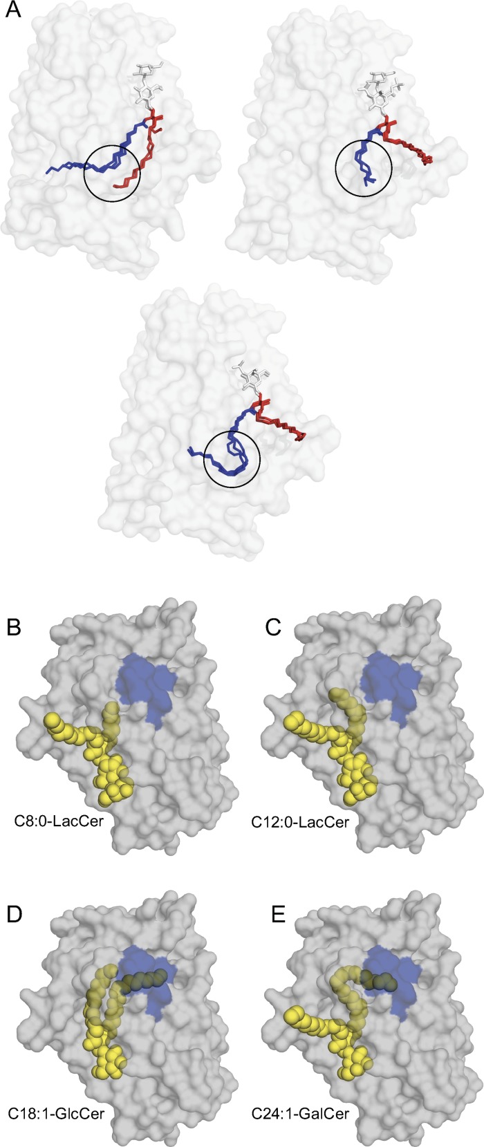 Fig 7