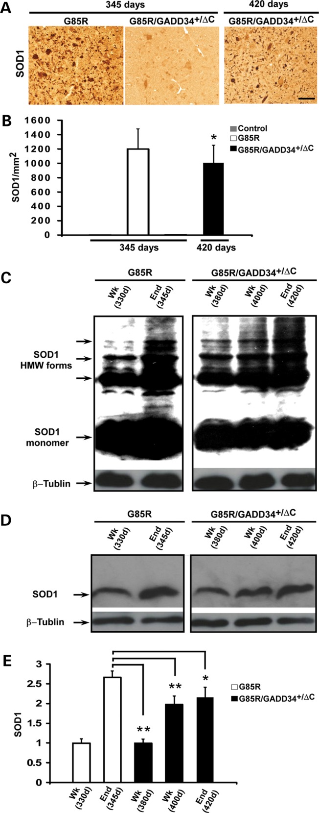 Figure 3.