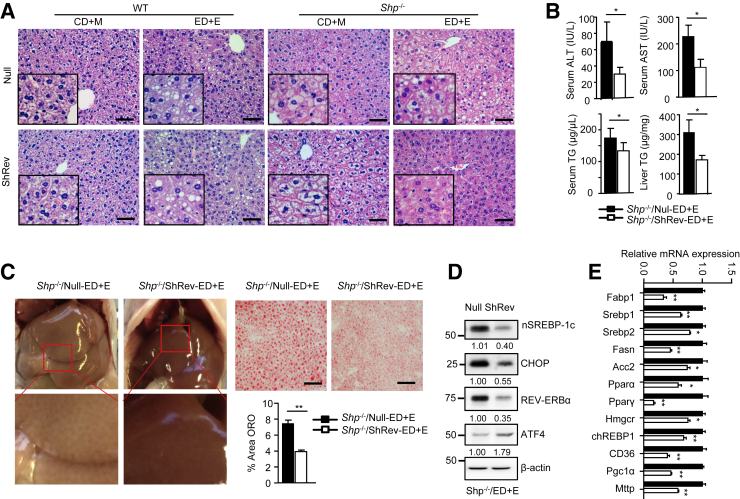 Figure 6