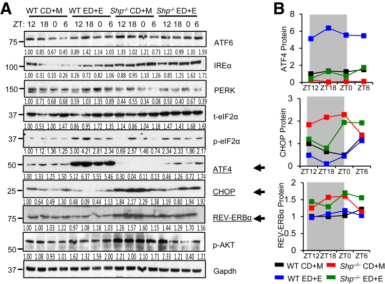 Figure 3