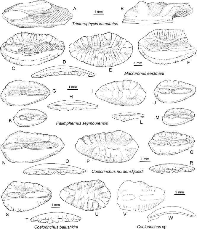 Figure 4. 