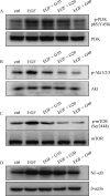 Fig.2