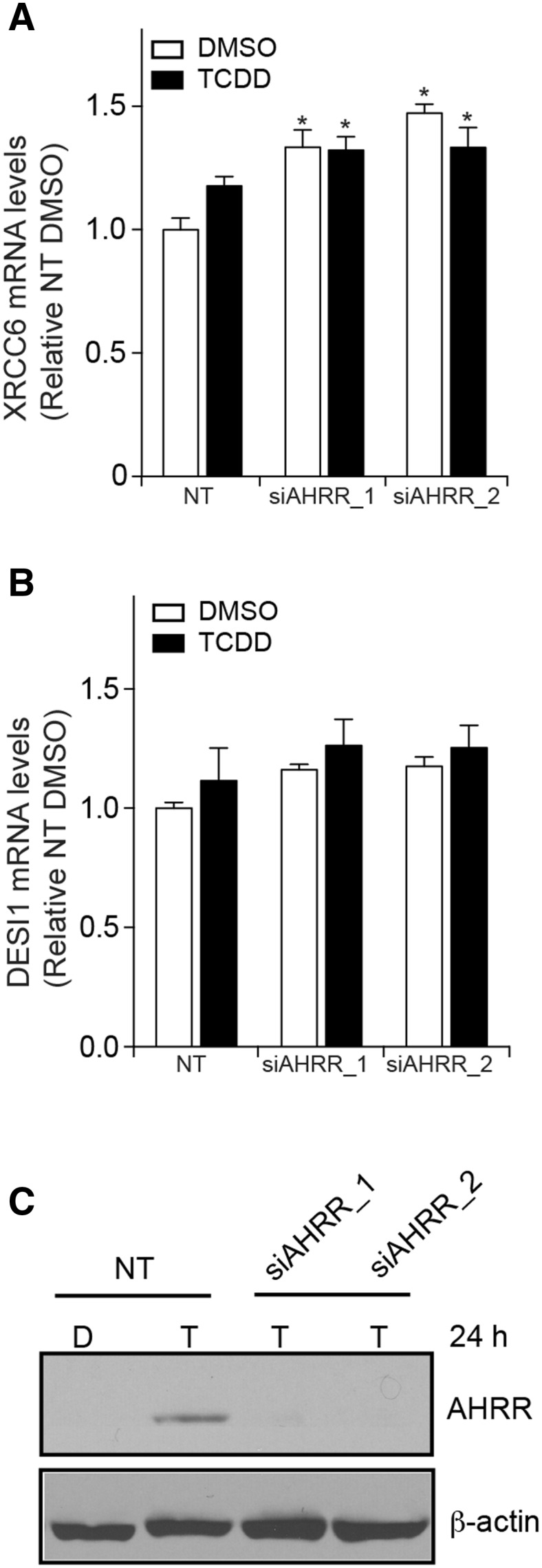 Fig. 8