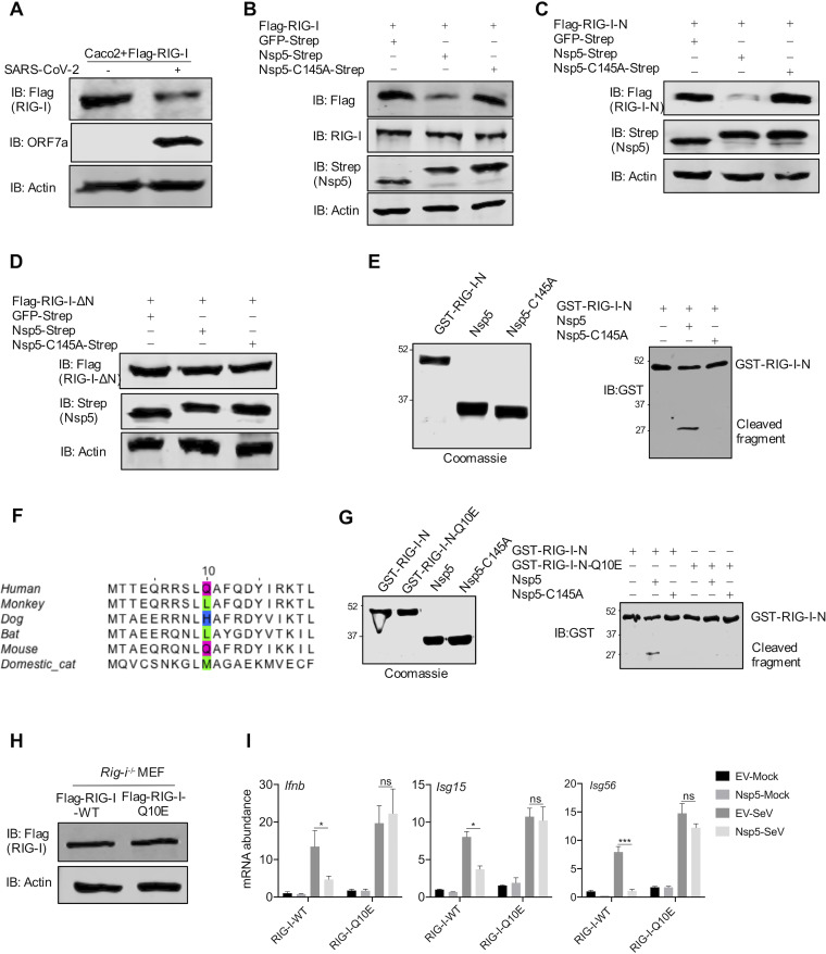 FIG 2