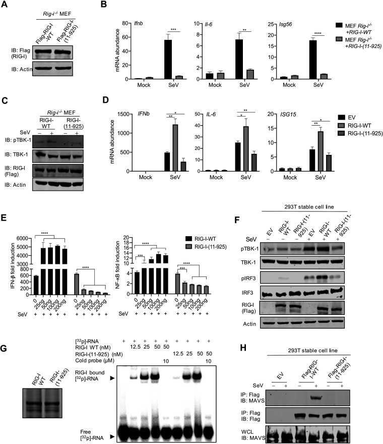 FIG 3