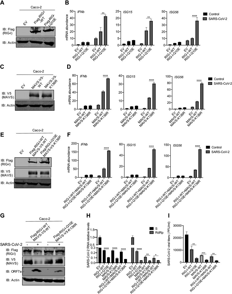 FIG 6