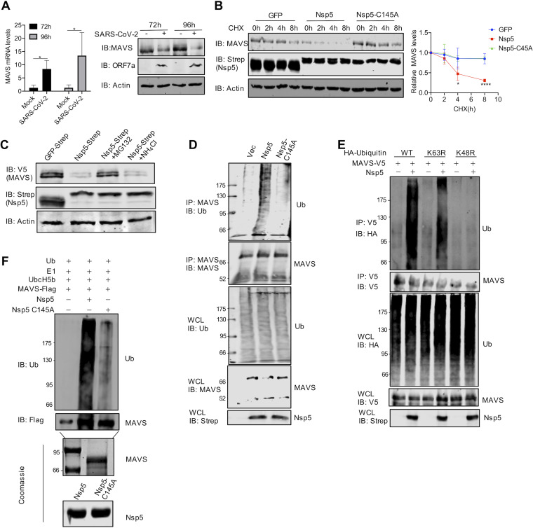 FIG 4