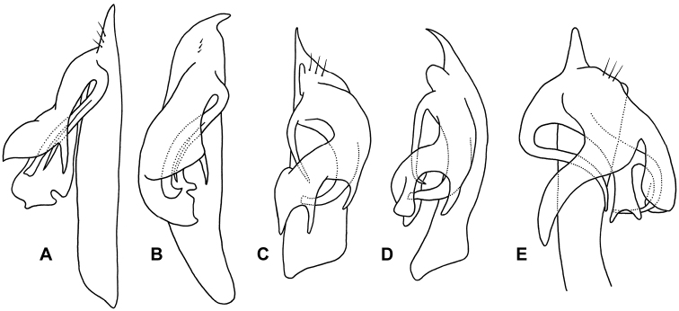 Figure 8.