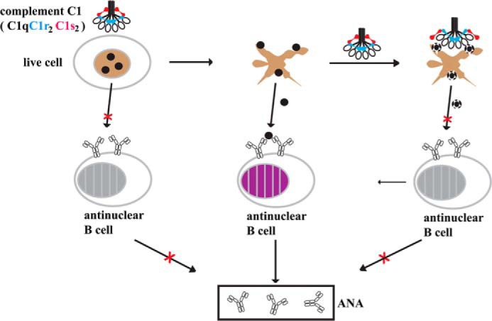 FIGURE 10.