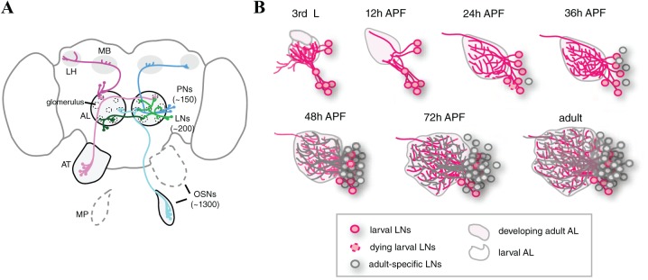 Figure 1.