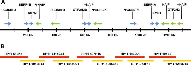 Fig. 4A, B