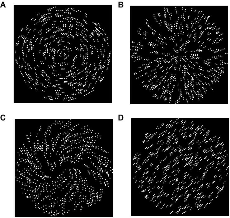 FIGURE 2