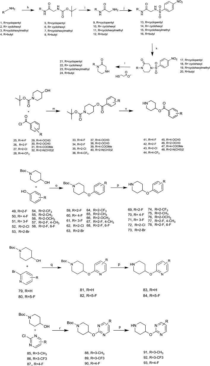 Scheme 2