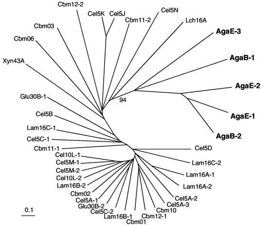 FIG. 2.