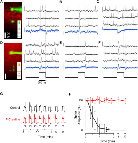 Figure 2