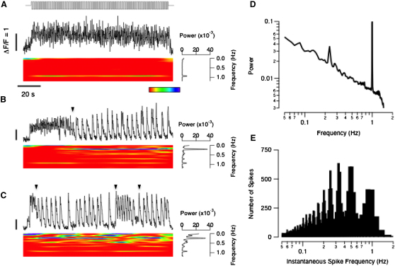 Figure 6