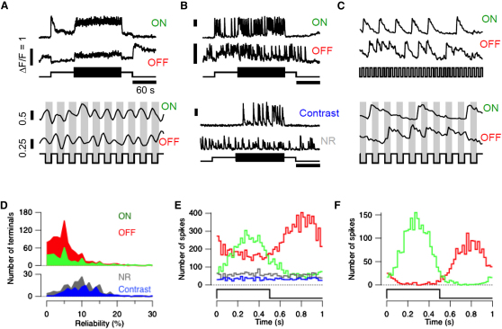 Figure 1