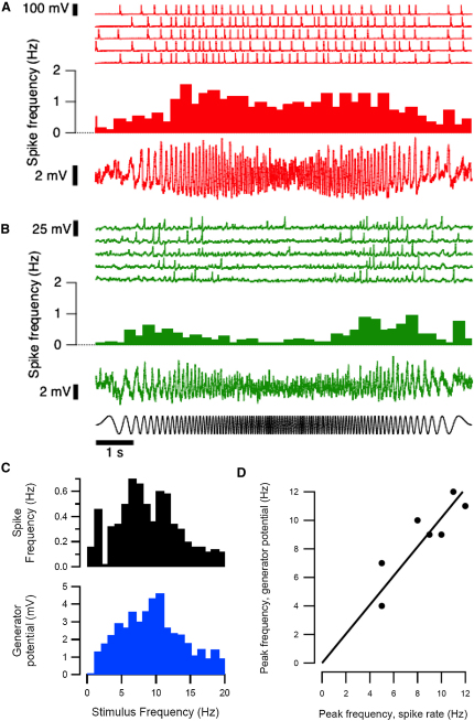 Figure 5