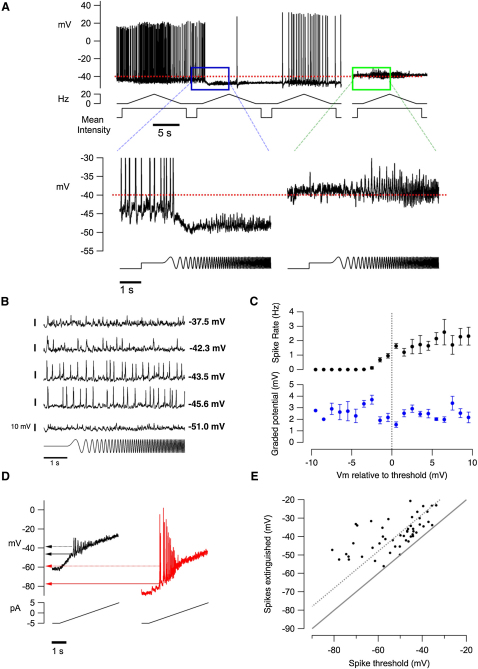 Figure 7