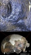 Fig. 1.