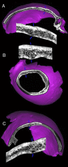 Fig. 3.