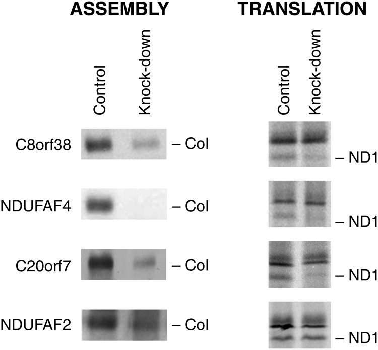 Figure 6.