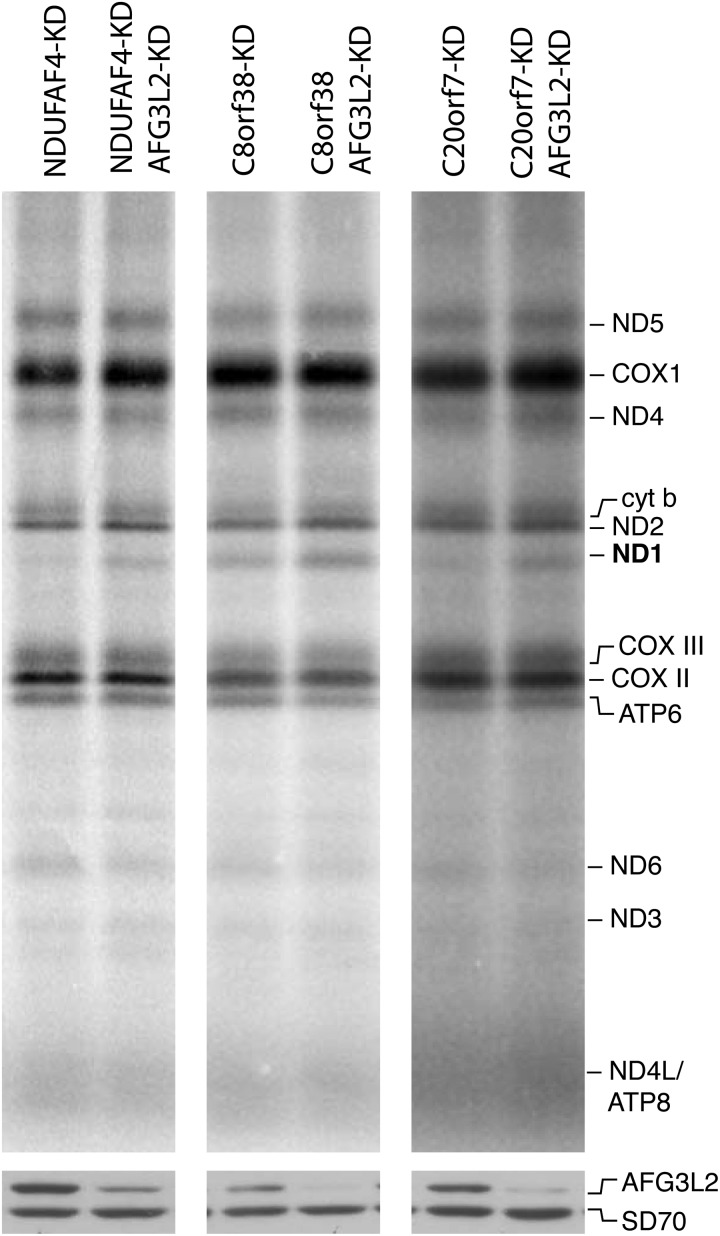 Figure 7.