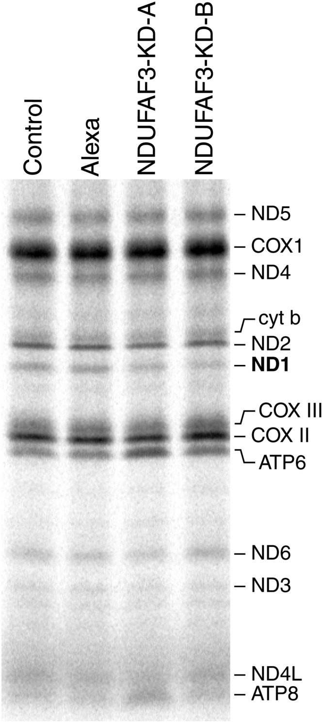 Figure 3.