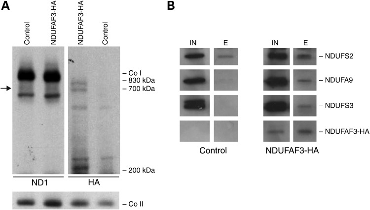 Figure 2.