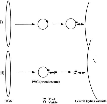 Figure 8.