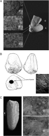 Fig. 1.