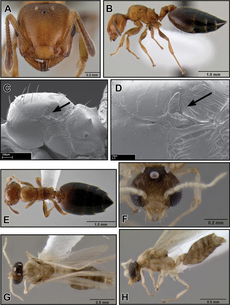 Figure 25.