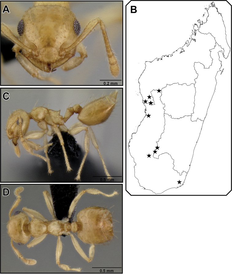 Figure 29.