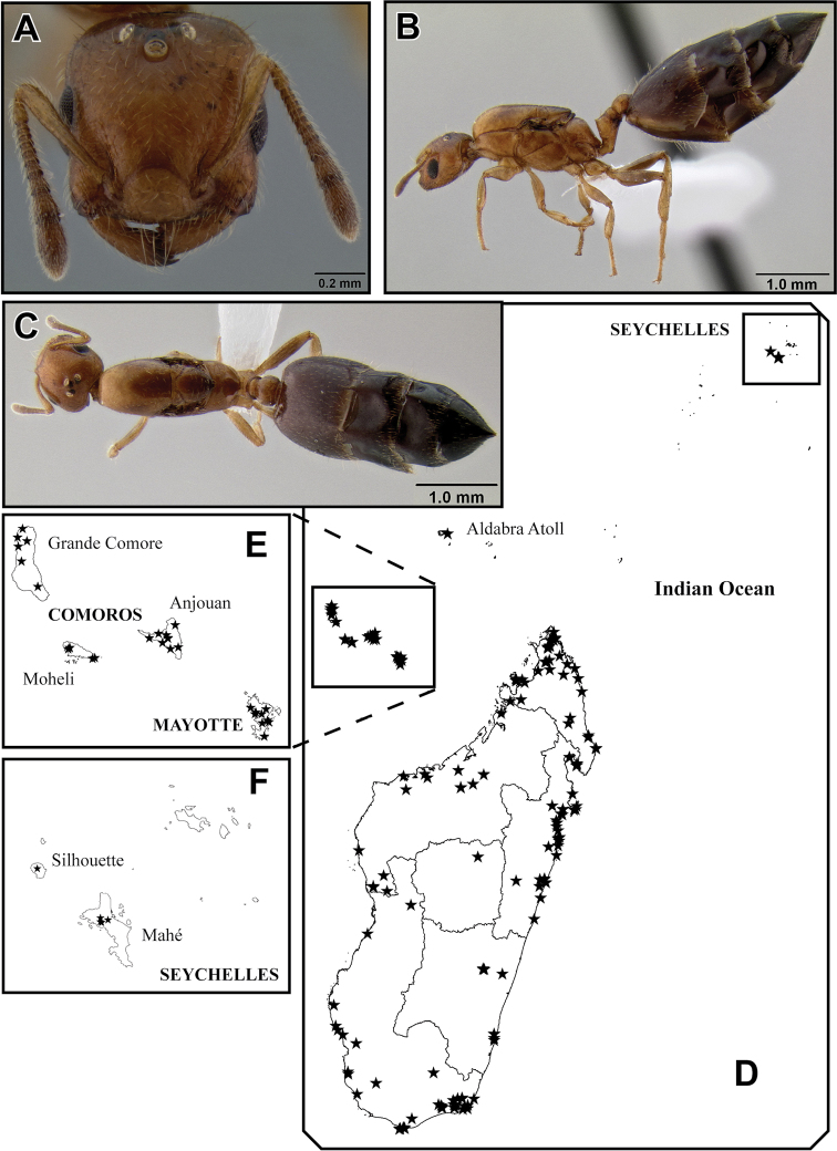 Figure 26.