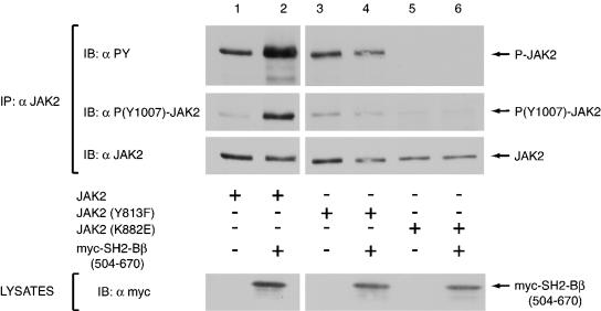 FIG. 9.