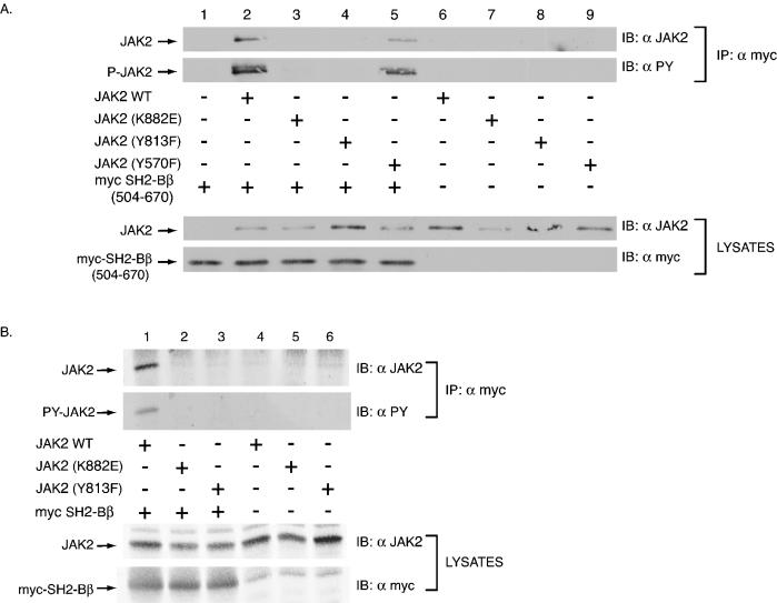 FIG. 6.