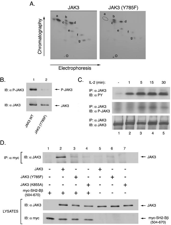 FIG. 7.