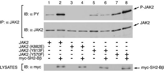 FIG. 8.