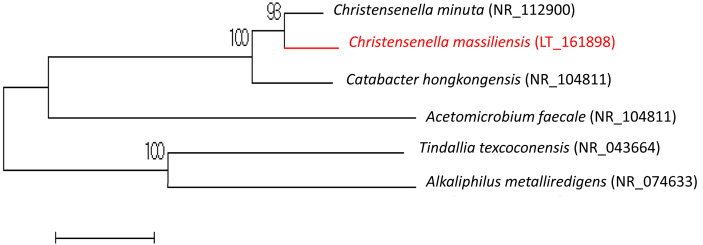 Fig. 1