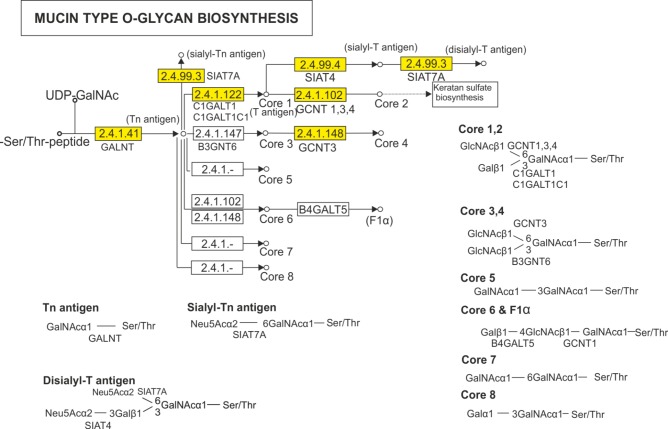 Fig 5