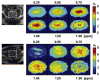 Fig. 3