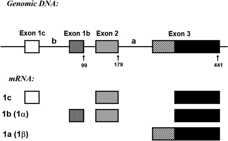 Figure 1.