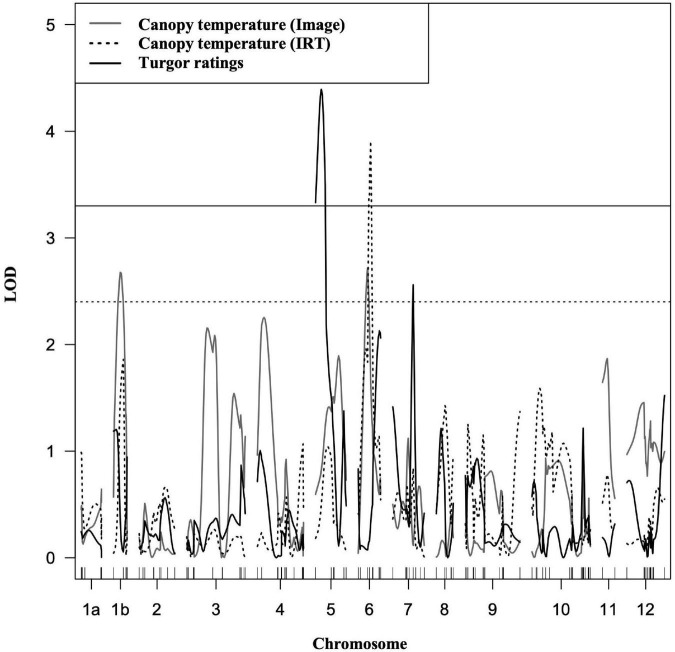FIGURE 4