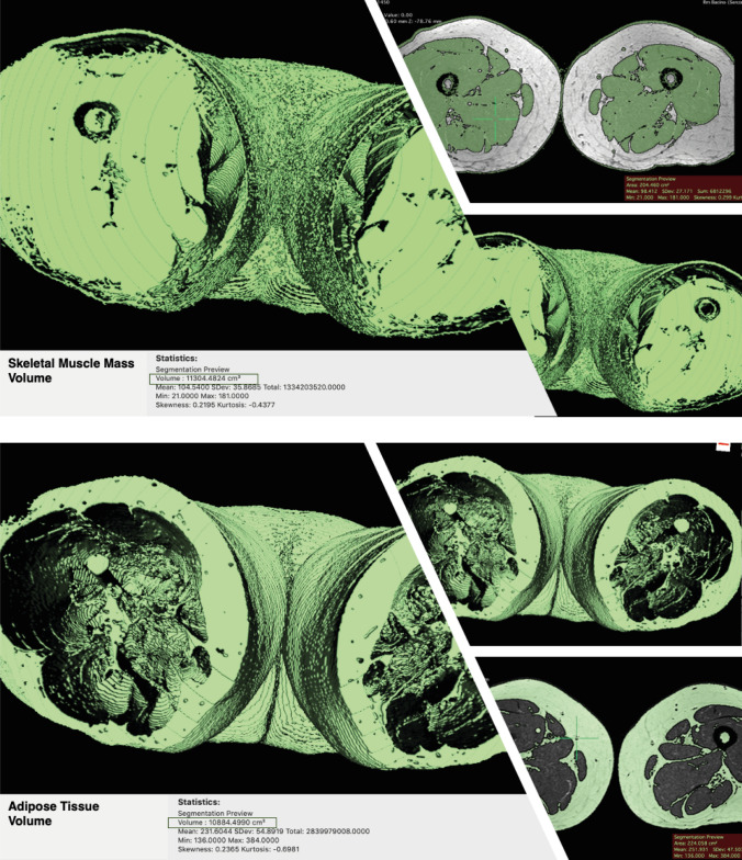 Fig. 5