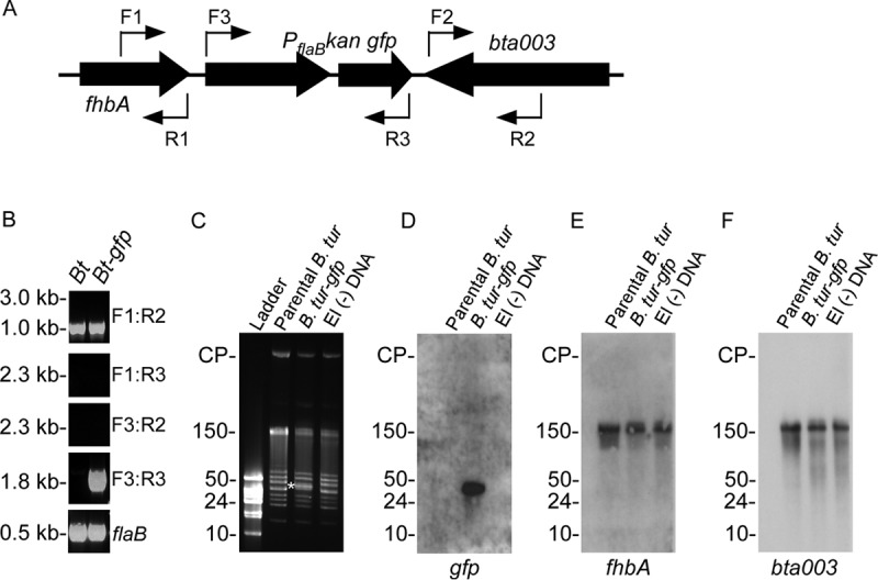 FIG 1