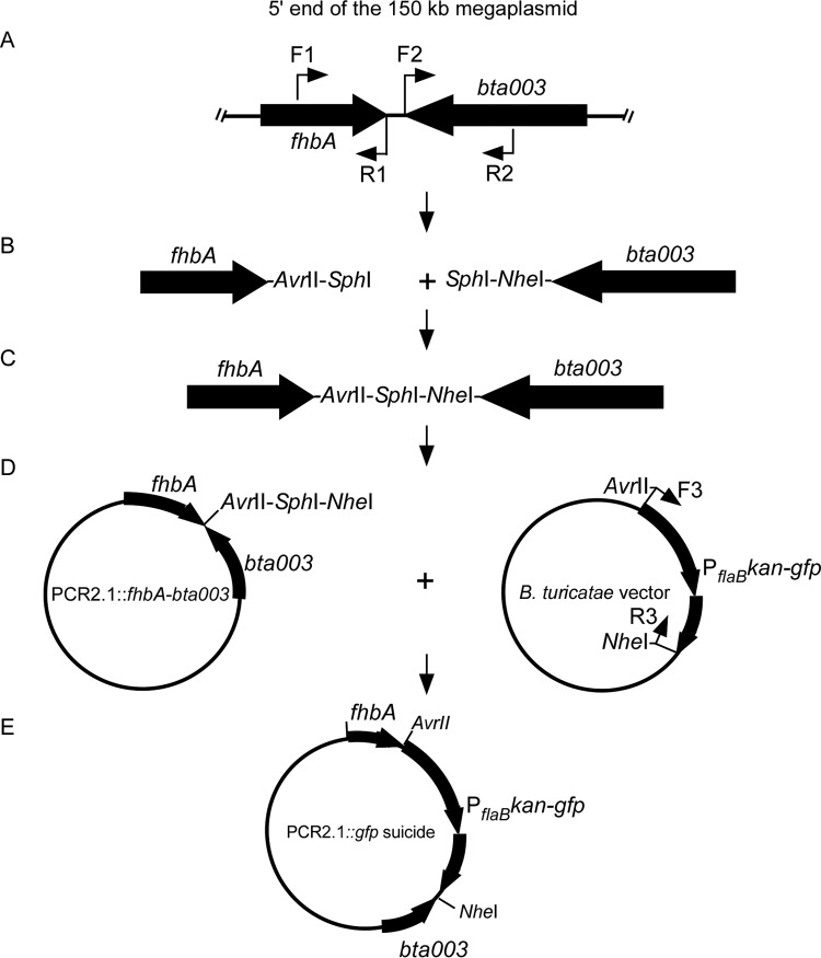 FIG 10